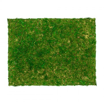 Paper Sheet with Green Moss...