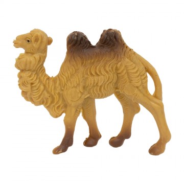 Set of Camels Euromarchi...