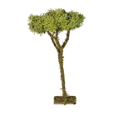 Lichen Tree 16 cm