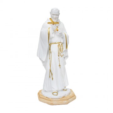 Statue of Saint Pio in...