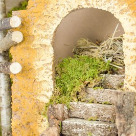 Stable with Staircase for...