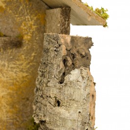 Plain Hut for 3 pcs Nativity