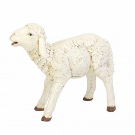 Lamb Fontanini 180 cm