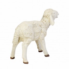 Lamb Fontanini 180 cm