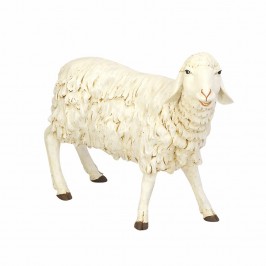 Sheep Standing Fontanini...