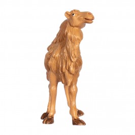 Standing Camel Fontanini 10 cm