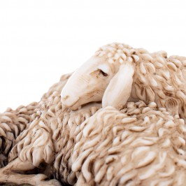 Sheep Sleeping in Resin Landi