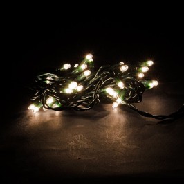 Ten Twinkle Lights for...