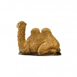 Camel Landi 10 cm