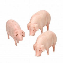 Assorted Pigs Landi 10 cm