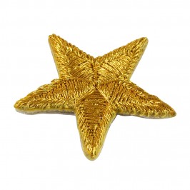 Star Patch for Vestment