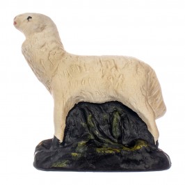 Sheep with Base Plaster...