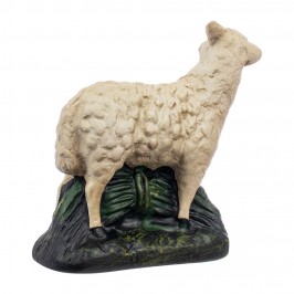 Sheep in Plaster for...