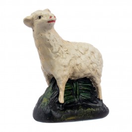 Sheep in Plaster for...