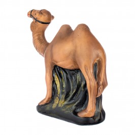 Standing Camel in Plaster...